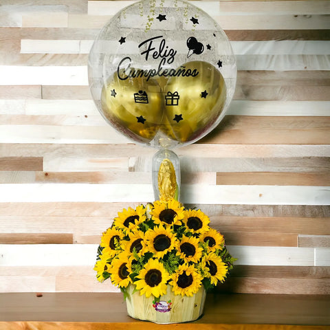 GIRASOL