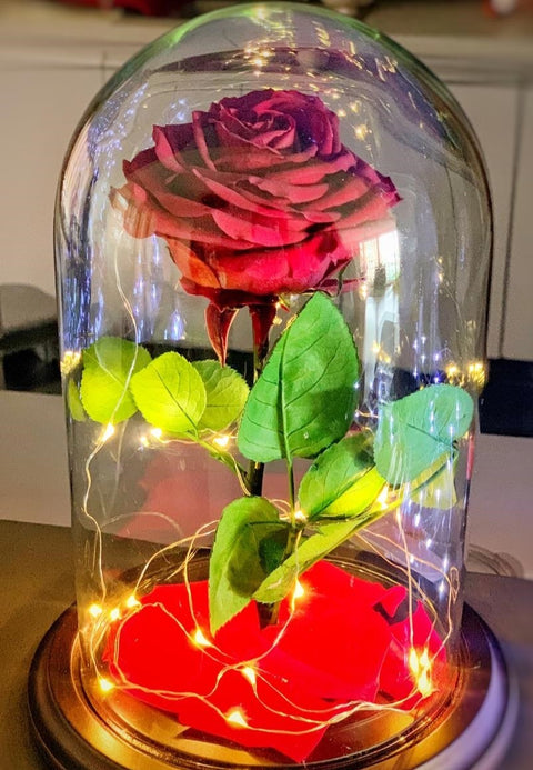 Rosa Preservada Luces