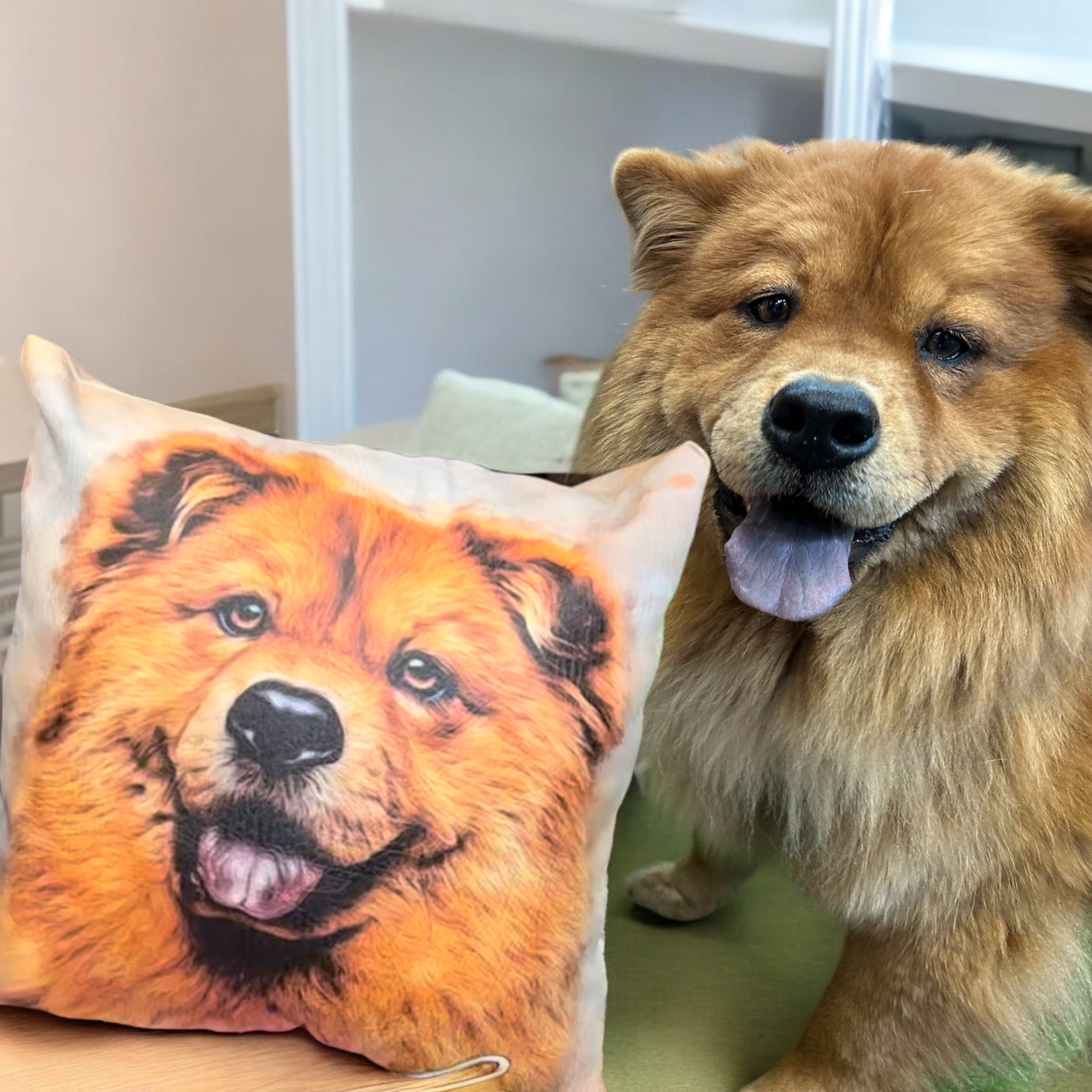 Pets Party - Captura la esencia de tus mascotas con nuestros lienzos personalizados. Recuerda a tu peludo y conserva sus memorias para siempre con Sorpresas a Tiempo. Descubre cómo transformar momentos especiales en arte único