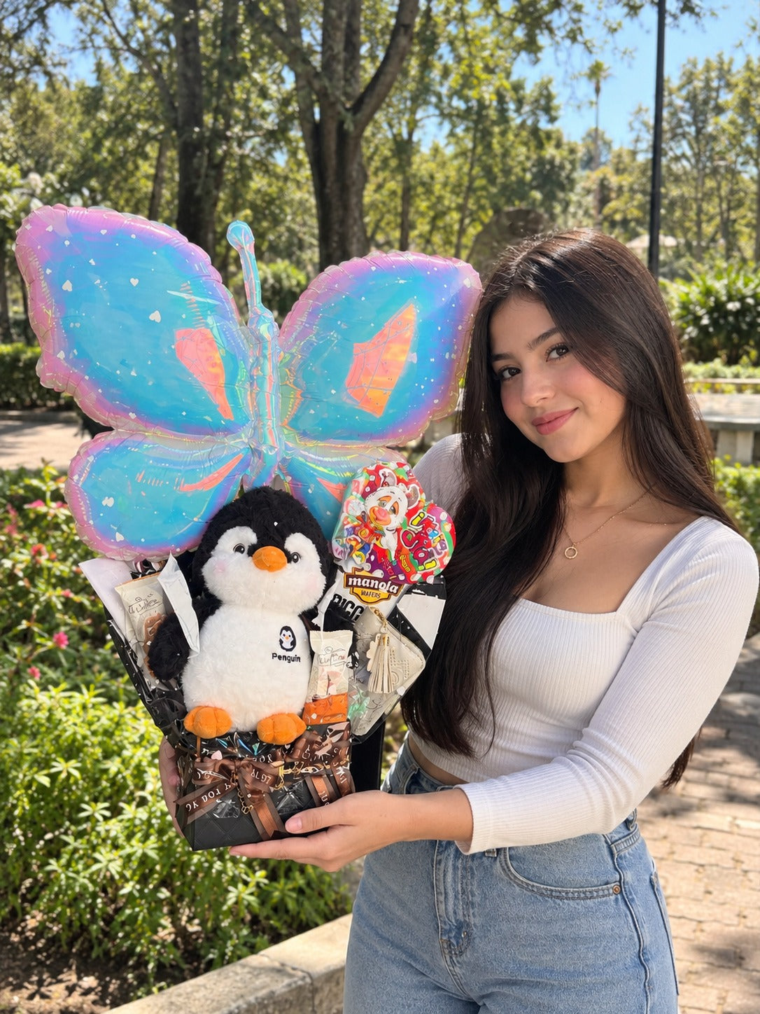 Ancheta de pingüino con mariposa tornasol