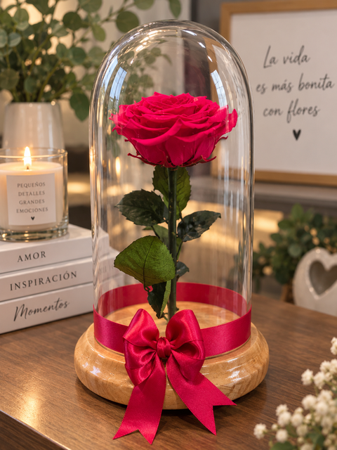 Rosa preservada para ella