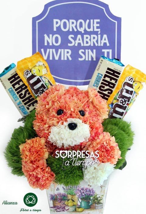 Perrito mimado (R043)