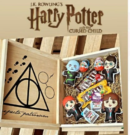 World Of Harry Potter